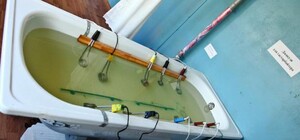 Дізнайся: які львівські вулиці у травні будуть без гарячої води