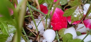 Фотофакт: на Львівщині селище 