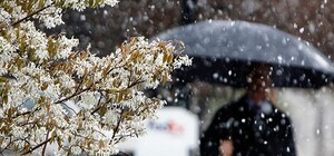 Зима повертається: на цьому тижні у Львові обіцяють сніг