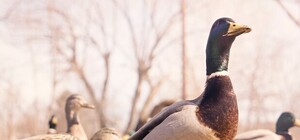 Фотофакт: возле 