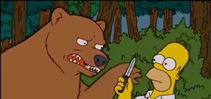 Фотофакт: в столичном дворе обнаружили медведя