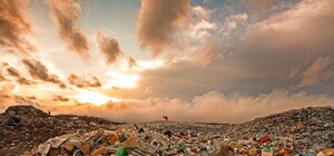 Есть предложение: жители Минского массива просят очистить придомовую территорию от мусора