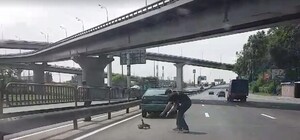 Видео дня: на Выдубичах водитель перекрыл движение ради помощи уткам