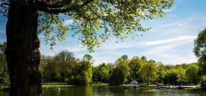 Будет красивее: в Киеве проведут реконструкцию парка Партизанской славы