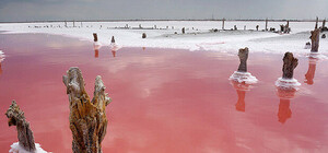 Уникальный полезный минерал Крыма - живая розовая соль