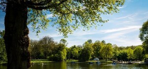 Прогуляемся: на Левобережной появится новый парк