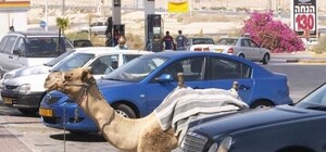 Фотофакт: Софиевская площадь снова превратилась в парковку