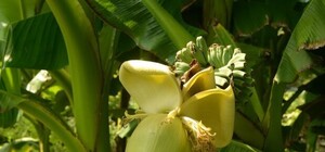 Фотофакт: в 