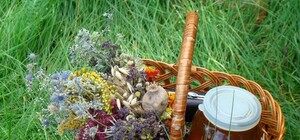 Традиции Маковея: харьковчанкам следует готовить магический букет