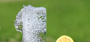 Группа компаний DIM: 