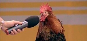 Чиновники начали оправдываться за то, что Киев назван комфортным для жизни городом