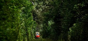 Покатаемся: в Пущу-Водицу запустили еще один трамвай