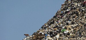 Как во Львове: возле станции метро 