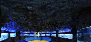 Обрадуй мелкого: крымских школьников зовут на бесплатную прогулку по аквариуму и мини-зоопарку в Алуште