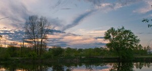 Больше мест для отдыха: на Троещине приведут в порядок озеро 