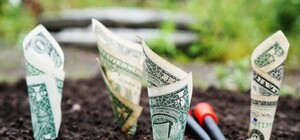 Подольский мост, новый транспорт и образование: на что потратят деньги из горбюджета