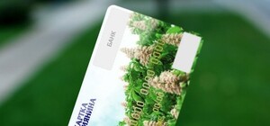 Прокачают: у 