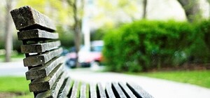 Фотофакт: на Дружбы народов заметили 