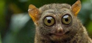 С ветерком: киевляне возмущены маршруткой, которая ехала с открытой дверью