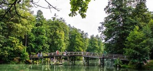 Обновят: в Пуще-Водице восстановят исторический мостик