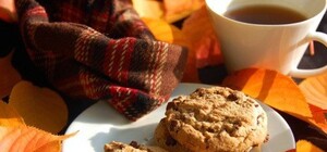 Не забувай парасольку: якою буде погода у Львові на цьому тижні