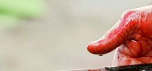 За две тысячи гривен: под Запорожьем зарезали бабушку