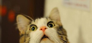 Выше звезд: в Киеве будет светить в космос луч высотой в 36 тысяч метров