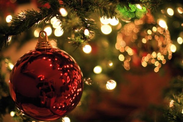 Новость - События - Праздник приближается: стало известно, когда в Киеве установят новогоднюю елку
