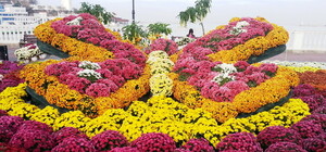 Видеофакт: в Крыму открылся бал хризантем