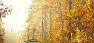 Выбери другую дорогу: из-за обрыва сети не ходят трамваи в Пущу-Водицу