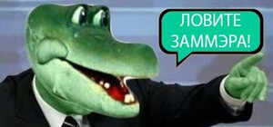 Малый бизнес процветает: заммэра Вышгорода поймали на торговле наркотиками