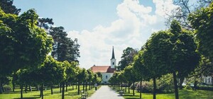 Киев зеленеет: на Воскресенке открыли обновленный парк возле кинотеатра 