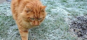 Одягайся тепліше: якою буде погода у Львові на цьому тижні