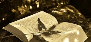 Пополни свою библиотеку: на 