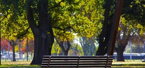 Иди на прогулку: на Троещине озеленили парк 