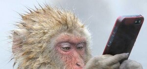 Кому-то скучно: из-за ложных минирований в Киеве вчера эвакуировали больше 2 тысяч людей