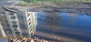 Міси болото: як у Львові виглядає шлях в перший клас