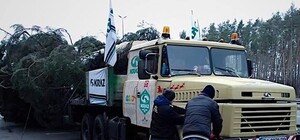 Новогодняя елка доехала до Киева, но застряла на въезде