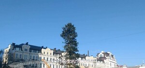 Главная киевская новогодняя елка сильно полысела