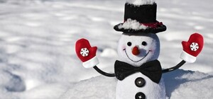 Фотофакт: в Киеве заметили тропического снеговика