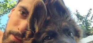 Помогите найти: в Киеве разыскивают пса Бантика за крупное вознаграждение