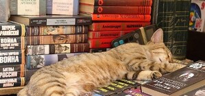 Стало известно, когда книжный рынок Симферополя переедет на новое место