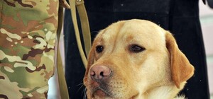 Ротация: бойцы батальона 