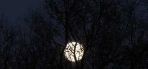 Суперлуние в Одессе: cмотри, как это было