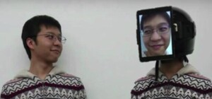 Порядочный преступник и свадьба в женском туалете: самые забавные новости недели