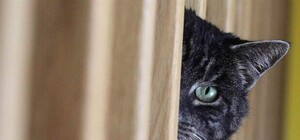 Они все о тебе знают: в сети продают личные данные клиентов 