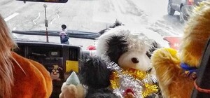 Фотофакт: по Киеву ездит маршрутка с мягкими игрушками на переднем сидении