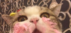 Кошмар сладкоежки: в одесском магазине продают конфеты с червями