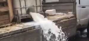 Под Кабмином митингующие вылили тонну молока на тротуар в знак протеста