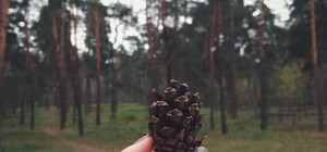 В таких не искупаешься: в парке Партизанской славы установят фонтаны в форме арок